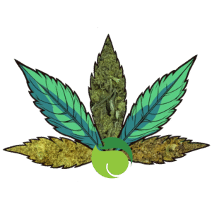 Fleurs de CBD - Pack Premium - 3x3G