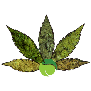 Fleurs de CBD - Pack Ultime - 5x3G